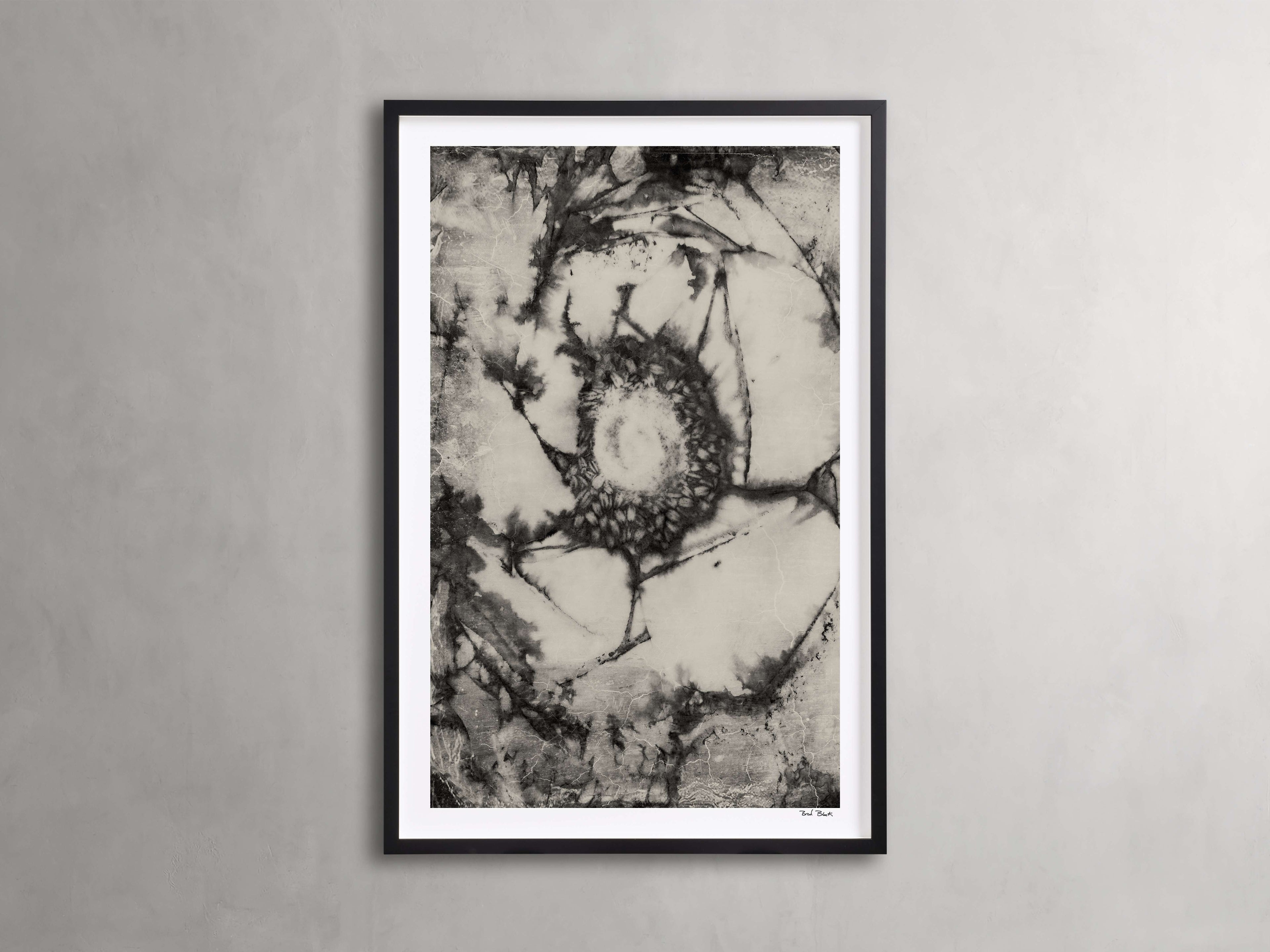 Anemone Impressions Framed Print